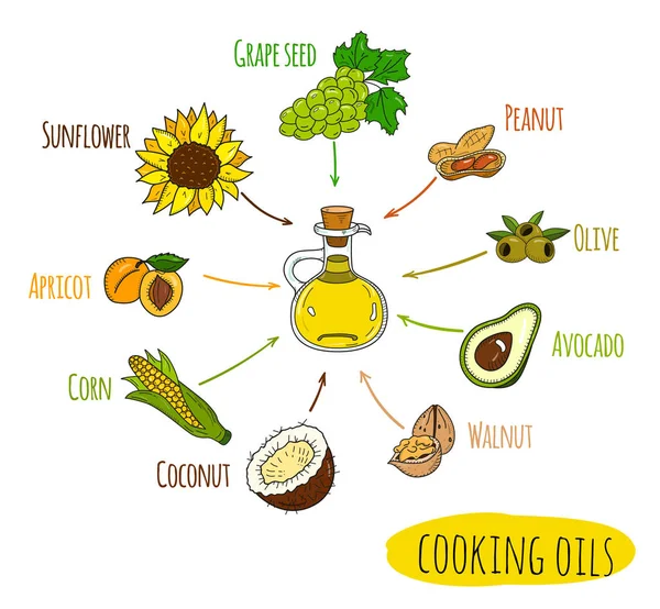 Infográfico desenhado à mão de tipos de óleo de cozinha — Vetor de Stock