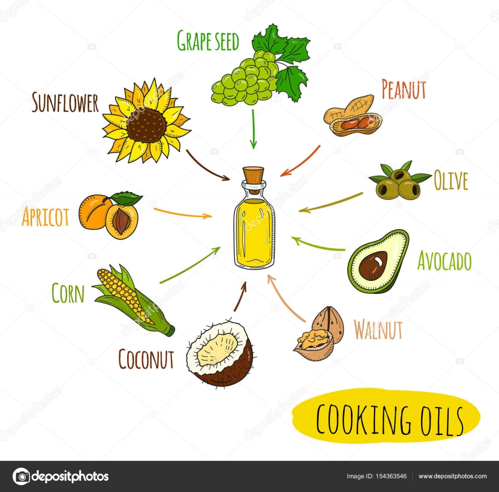 Infograf a dibujada a mano de clases de aceite de cocina vector de