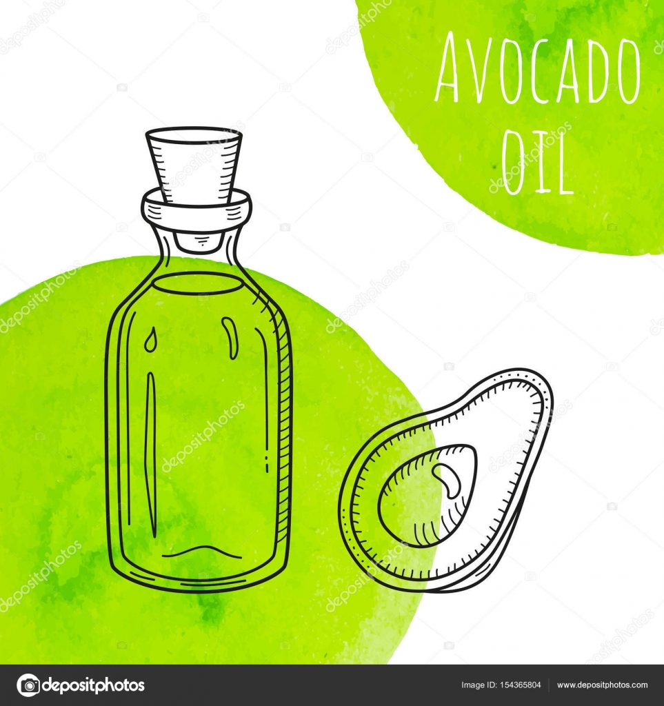 Bottiglia di olio di avocado disegnato mano con macchie verdi dell acquerello Flaconcino carino isolato con avocado e sano olio da cucina