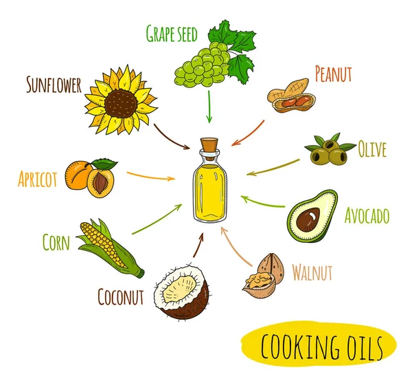 Infografica disegnata a mano di tipi di olio da cucina — Vettoriale Stock