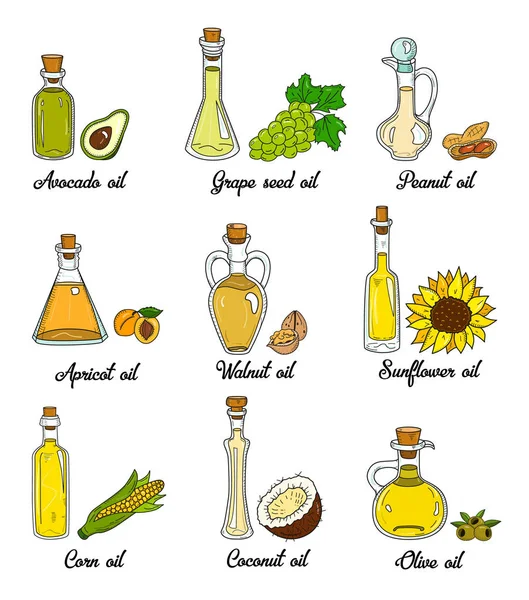 9 jedlých olejů v roztomilé útržkovité lahví — Stockový vektor