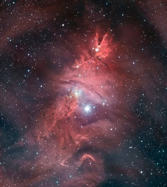 Koni Bulutsusu ve Tekboynuz takımyıldızı Noel ağacı kümesi (Ngc 2264)