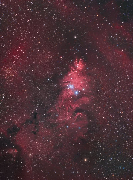 Koni Bulutsusu ve Tekboynuz takımyıldızı Noel ağacı kümesi (Ngc 2264)