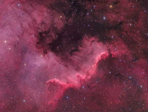 Kuzey Amerika Bulutsusu (Ngc 7000 Kuğu)