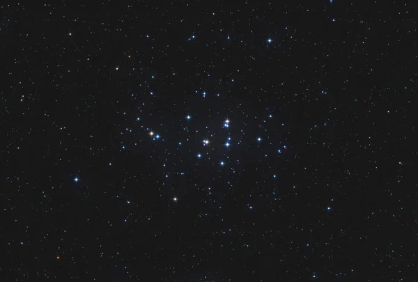 The open star cluster Messier 44 / Praesepe in the constellation Cancer