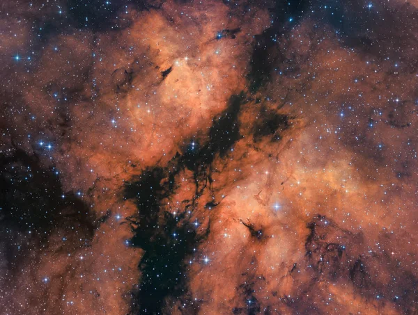 Gama Cygni Bulutsusu