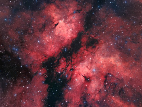 The Gamma Cygni Nebula