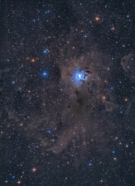 Cepheus Iris Bulutsusu Ngc 7023
