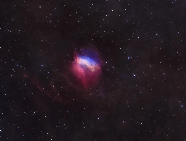 The Valentine Rose nebula (SH2-174), a very rare Image of an ancient planetary nebula in Cepheus near the North Star.