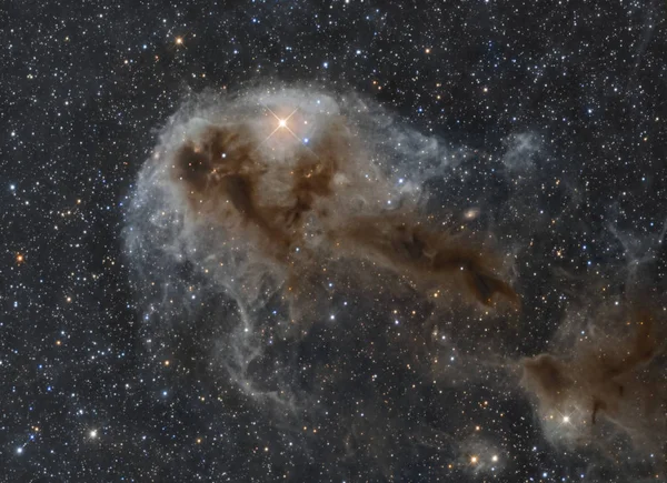LDN 1250, Dunkle Wolken im Sternbild Cepheus