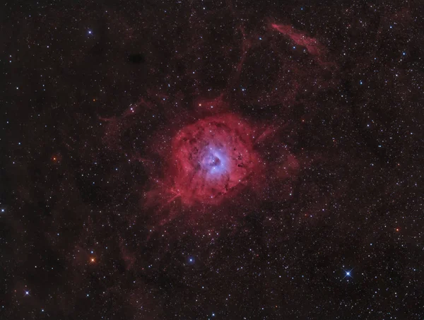SH2-170, der kleine Rosetten Nebel