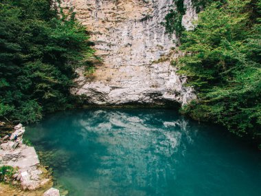 güzel doğa, yaz, orman, güneş