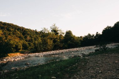 Yaz gezisi, güzel doğası, güneş ve orman