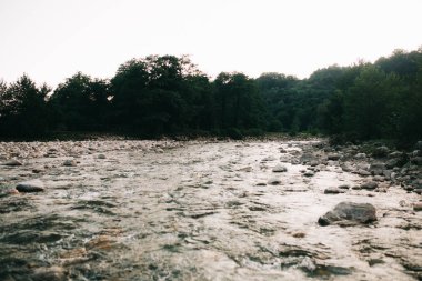 Yaz gezisi, güzel doğası, güneş ve orman