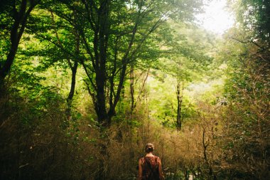 Yaz gezisi, güzel doğası, güneş ve orman