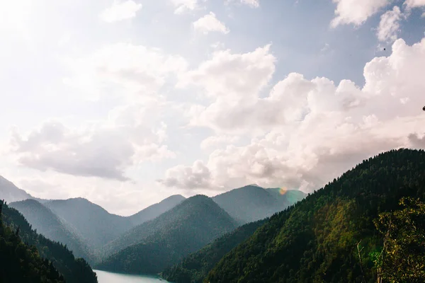 Nyári utazás, a gyönyörű természet, a nap és a forest — Stock Fotó