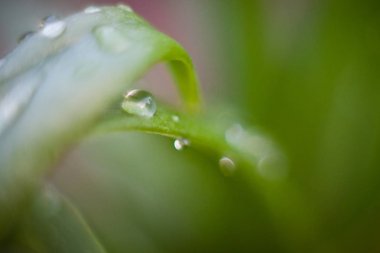   doğa, güzel doğası, atmosfer, güzellik, doğallığı, yaz, güneşli atmosferini 