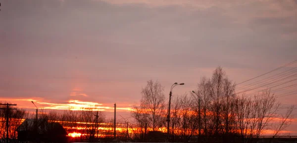 Luonto, kaunis luonto, ilmapiiri, kauneuden ilmapiiri, luonnollisuus, kesä, aurinkoinen — kuvapankkivalokuva