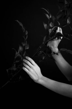 Güzel bir kadının siyah-beyaz sanat tarzı sürrealistik portresi, güzel bir kızın siyah-beyaz portresi, moda ve sanat, bitkiler ve çiçeklerle portresi.