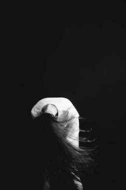 Moda sanat stüdyosu güzel bir kızın siyah beyaz portresi. 