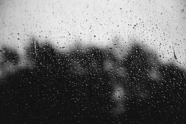 Regendruppels Ruiten — Stockfoto