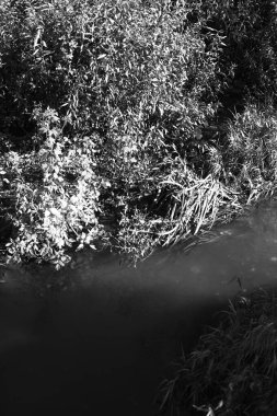 Siyah ve beyaz su dokusu, su arkaplanı