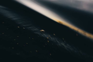 Su dokusu, renk manzarası, su arkaplanı