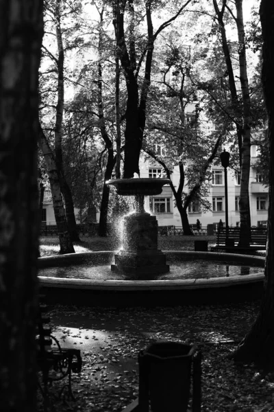 Struttura Dell Acqua Bianco Nero Sfondo Dell Acqua — Foto Stock