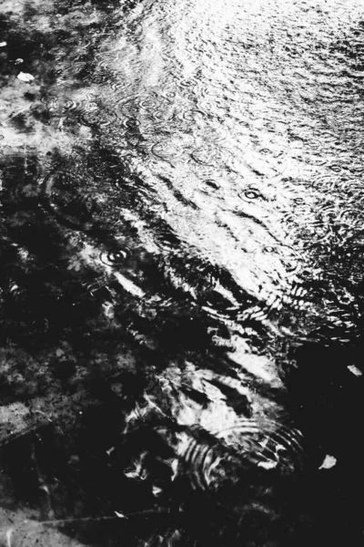 黑白水纹 水纹背景 — 图库照片