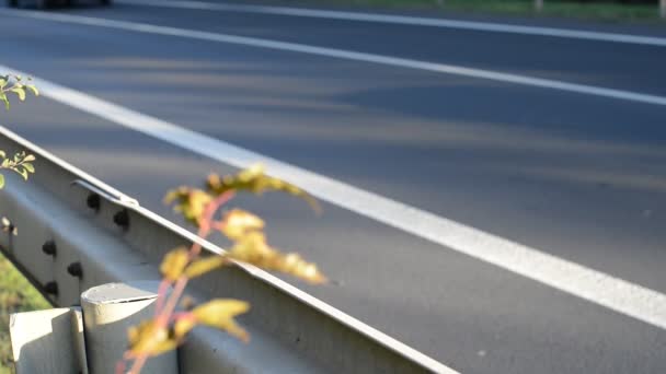 超速驾驶的汽车防撞护栏的详细信息 — 图库视频影像