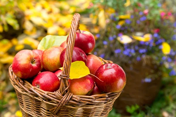 Sepette kırmızı elmalar