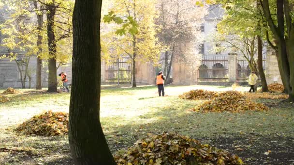 Staden av Postoloprty, Tjeckien - 3 November 2016: arbetstagare rake lämnar ut i parken hösten. — Stockvideo