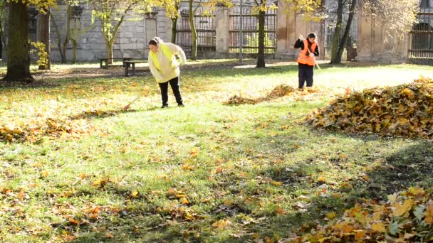 Town of Postoloprty, Czech Republic - November 3, 2016: Workers rake leaves out in the autumn park. — Stock Video