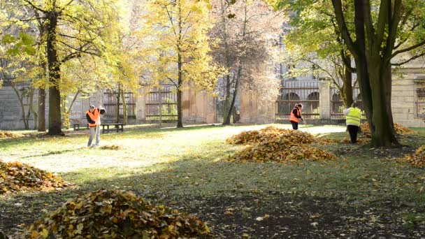 Město Postoloprty, Česká republika - 3 listopadu 2016: dělníci hrábě opomíjí v podzimním parku. — Stock video