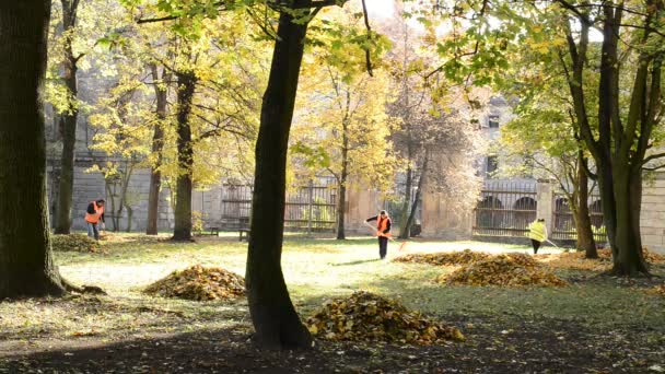 Town of Postoloprty, Czech Republic - November 3, 2016: Workers rake leaves out in the autumn park. — Stock Video