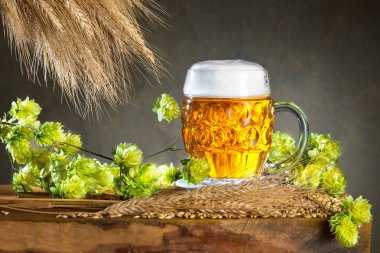bardak bira ve bira üretimi için ham maddeler