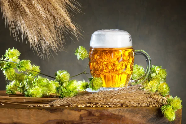 Ποτήρι μπύρας και την πρώτη ύλη για την παραγωγή μπύρας — Φωτογραφία Αρχείου