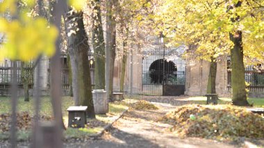 Eski Iron gate sonbahar parkta. Raf odak.