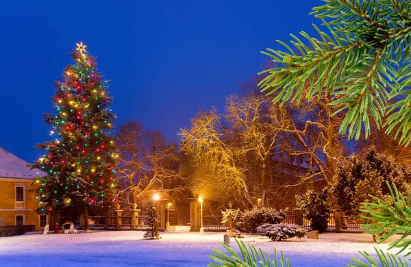 Albero di Natale con neve di notte — Foto Stock
