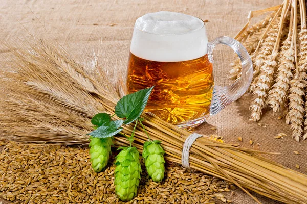 Vaso de cerveza y materia prima para la producción de cerveza —  Fotos de Stock