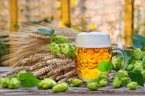 Bodegón con vaso de cerveza y conos de lúpulo — Foto de Stock