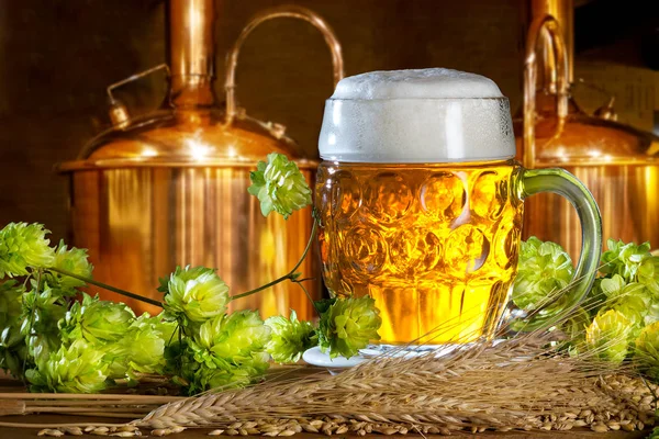 Bierglas mit Hopfen und Gerste in der Brauerei — Stockfoto