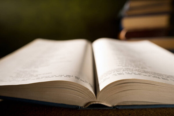 Деталь открытой книги
