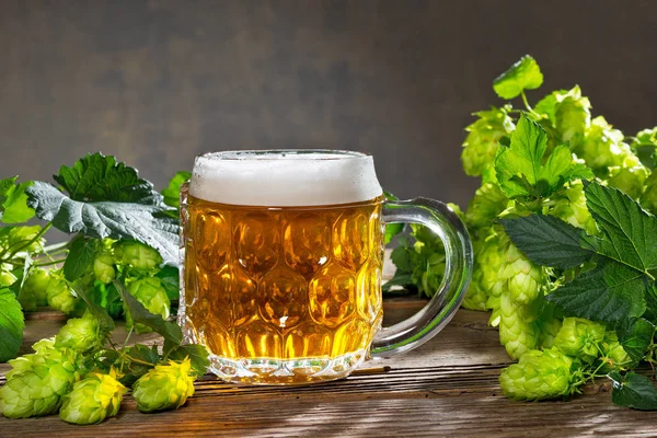 Natürmort hop koniler ve bira üretimi için ham maddeler — Stok fotoğraf