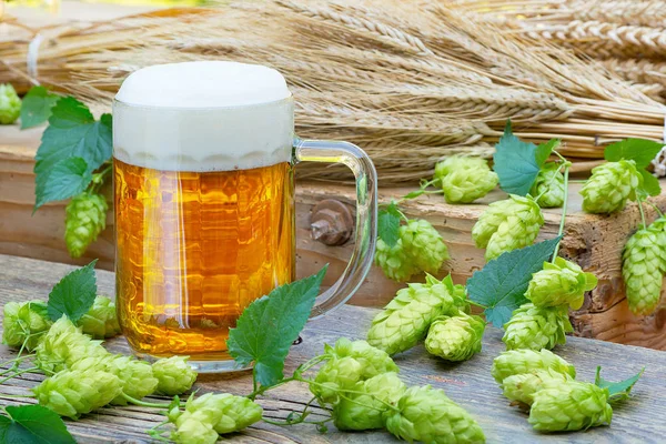 Still life with beer glass and hop cones — Stock Photo, Image