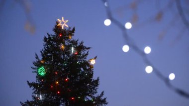 Elektrik ışık gece Noel ağacının ayrıntı