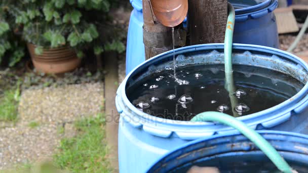 雨水流进桶水 — 图库视频影像