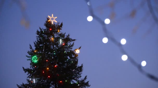 Detalle del árbol de Navidad con luz eléctrica por la noche — Vídeos de Stock