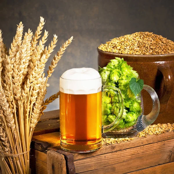 ビールの生産のための原料とビールのグラス — ストック写真