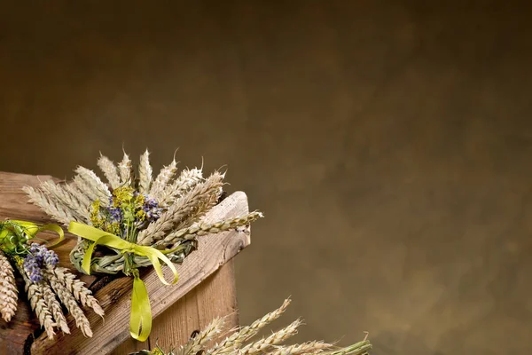 Bundel van tarwe met bloem en band — Stockfoto